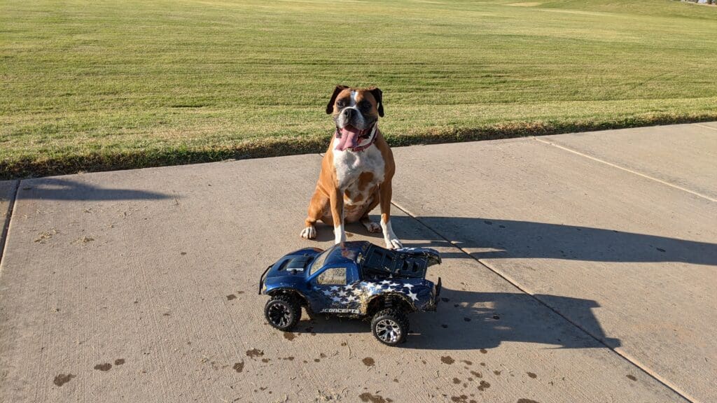 Roxy and RC