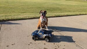 Roxy and RC