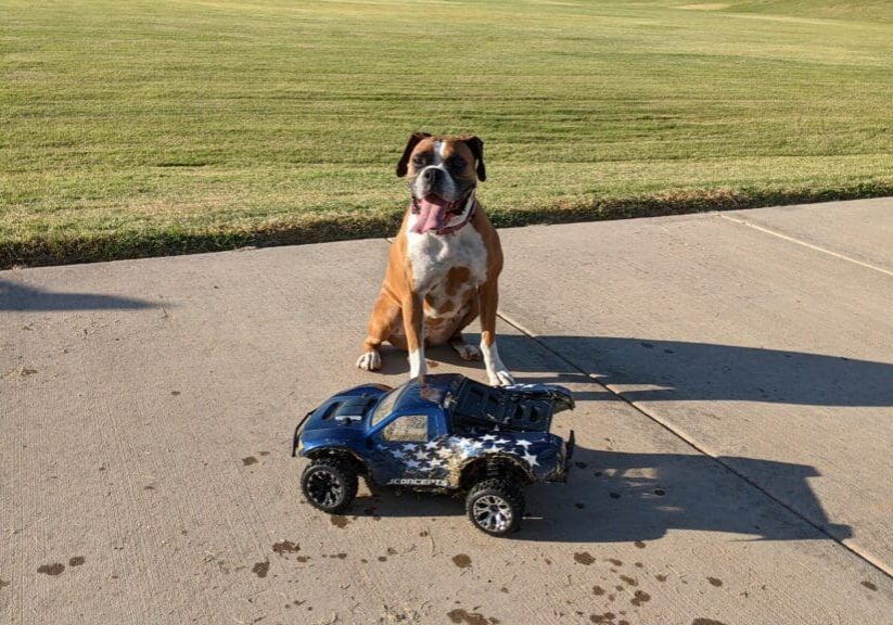 Roxy and RC